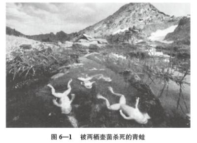 t6-1