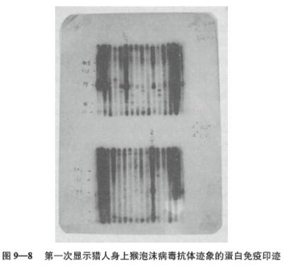 t9-8