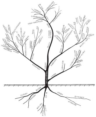 043-1